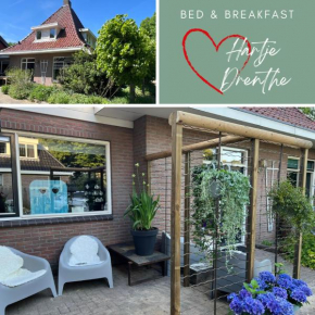 B&B Hartje Drenthe